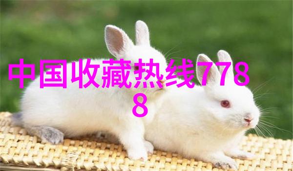 西班牙葡萄酒的秘密花园探索RiojaRibera del Duero和Cava的独特魅力