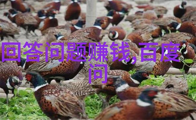 大中华收藏网 - 探索传统文化大中华收藏网的珍品之旅