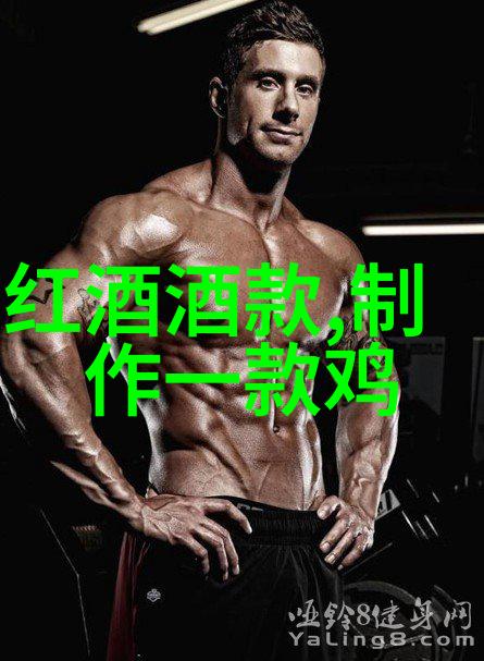 能源安全与国际政治对国内9193柴烃及其他型号汽车燃料成本变化的影响分析