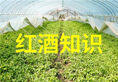 今日蚂蚁庄园答案最新2022年3月-解密三月份谜题领略春日乐趣