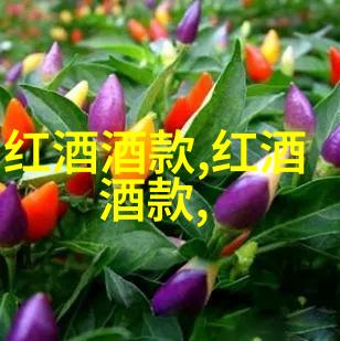 法国葡萄酒的文化艺术之园仿佛一曲悠扬的百合酒醉人心灵