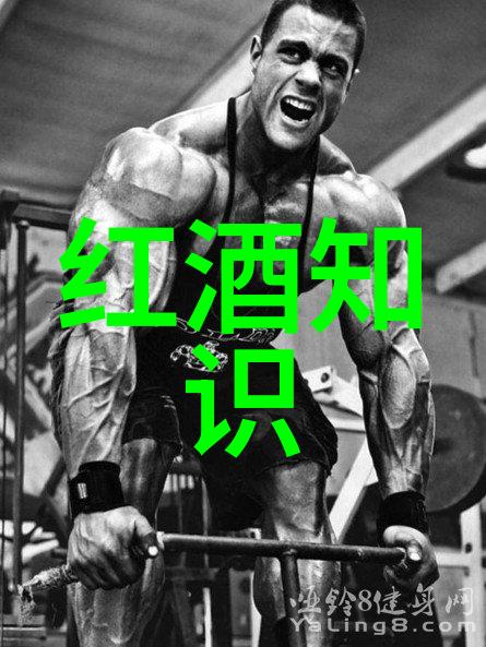 精美图案探索第五套人民币设计之美