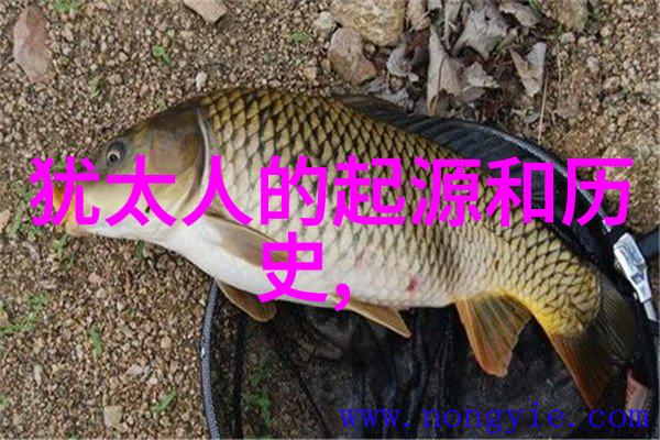 旧版人民币收藏价格汇聚牛顿葡萄园拼图庆祝30年盛宴