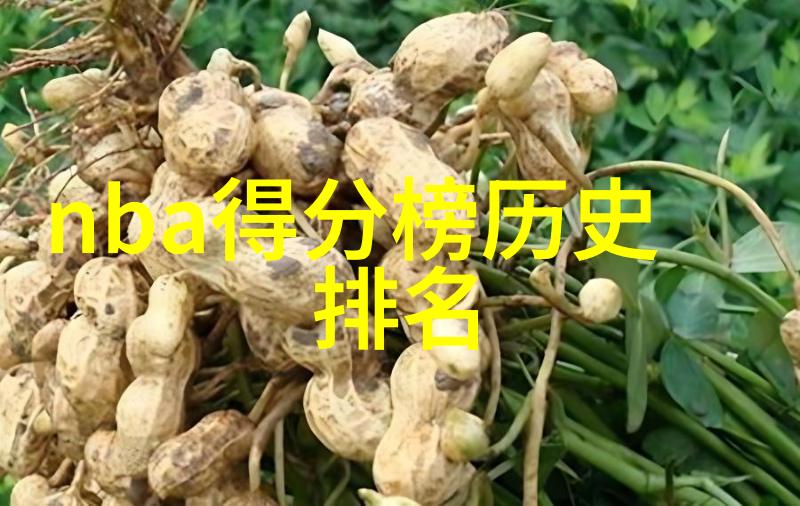 罗曼蒂克葡萄园之梦法国名酒地的诗意篇章