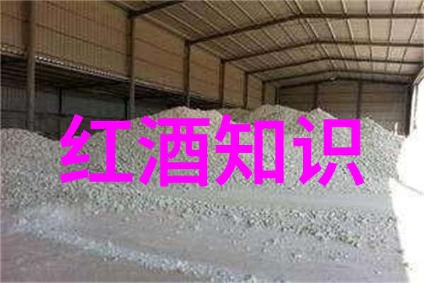 红酒资讯网我是如何在一场意外的聚会中发现了我的味蕾小探险家身份的