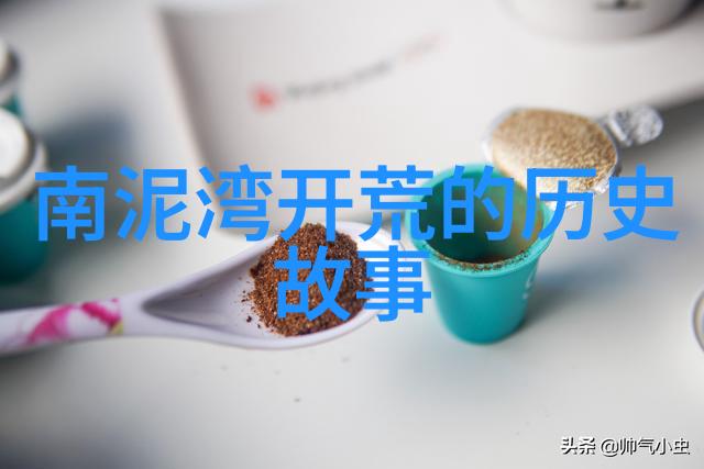 玉米种子名称全览探索丰收的秘密