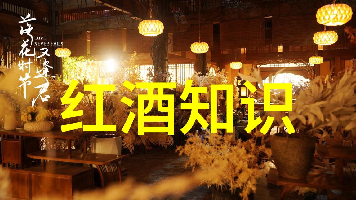 趣味抢答题题目和答案我来点智慧风暴你准备好回答了吗