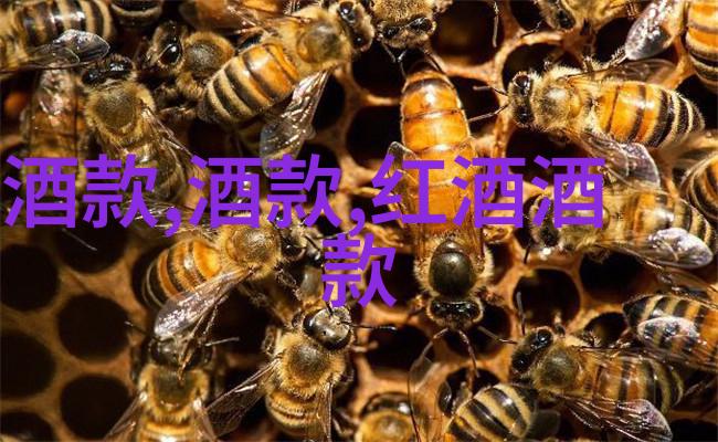 玫瑰品种大全图解绽放色彩的花海之旅