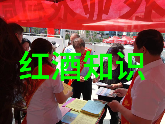 独特而优雅揭秘20个国际知名猫咪品种