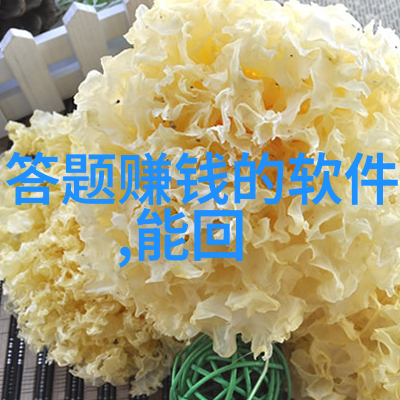 玫瑰花园之冠全球最受欢迎的玫瑰品种排行榜浪漫经典现代魅力香气迷人