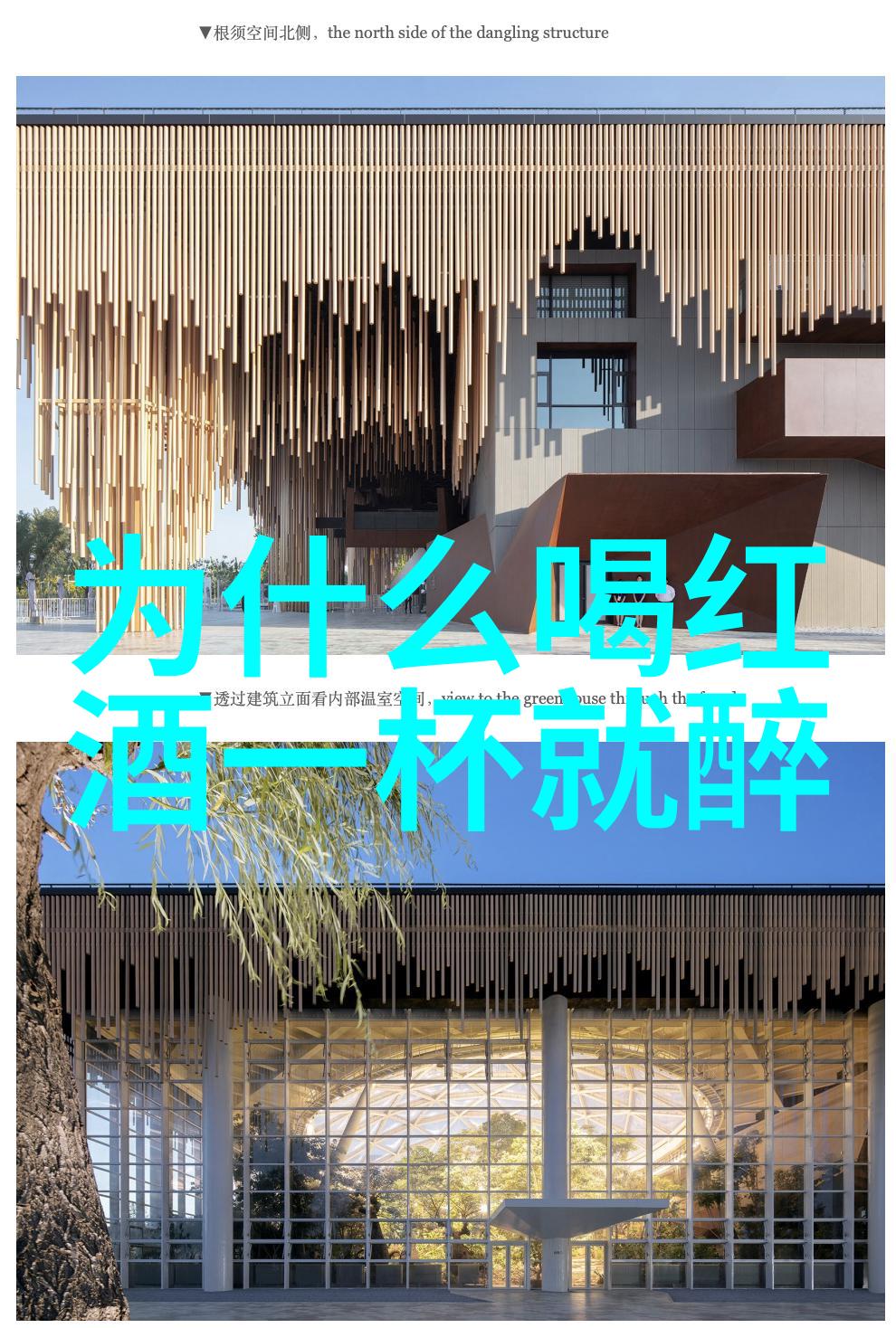 深邃咖啡一杯浓缩的生活美学