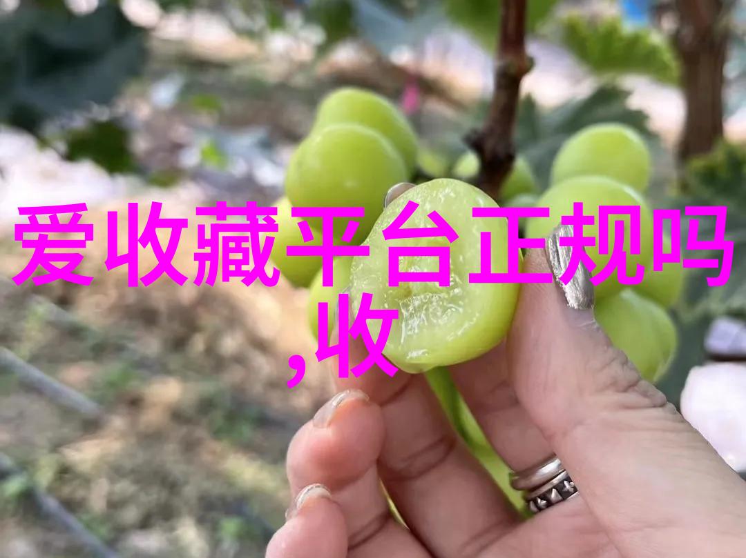 意大利葡萄酒界的领军人物第35位至第31位学画人物简约又优雅如他们一般