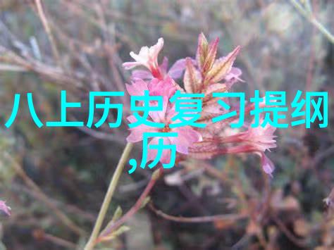 文森弗朗索瓦酒庄遭FBI突查海湖庄园自然风光中揭秘