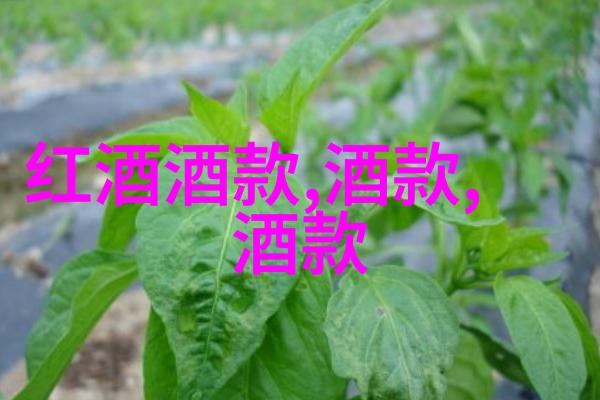 巴斯克酒庄庄园小课堂2021年6月1日答案宛如夏日的阳光在葡萄上跳舞