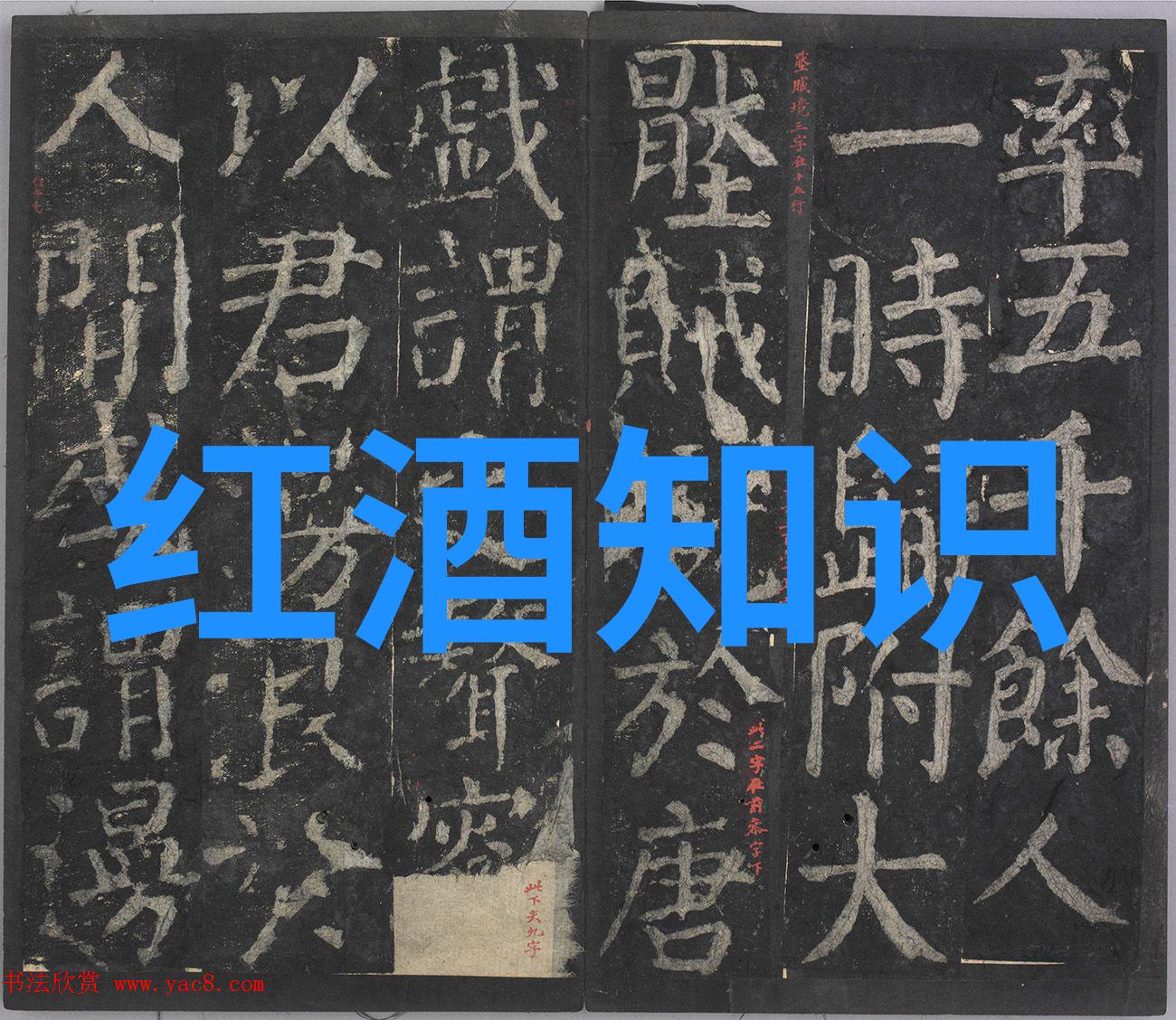 猫儿奇缘从神秘的埃及豹到活泼的缤纷波斯每一只都有它们独特的故事与魅力