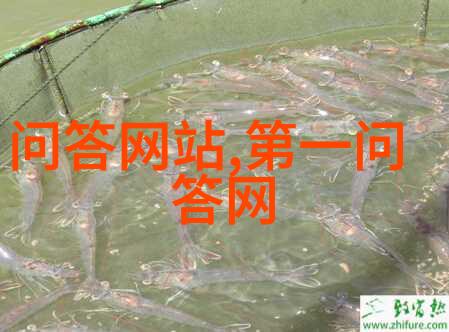 军旅肉质1V2贪欢我是那个在战场上把敌人吃得只剩骨头的士兵