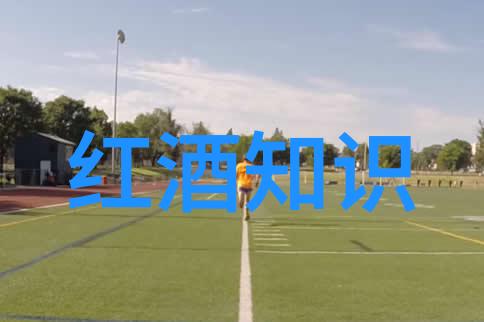 基金大盘实时走势市场波动投资者心跳同步