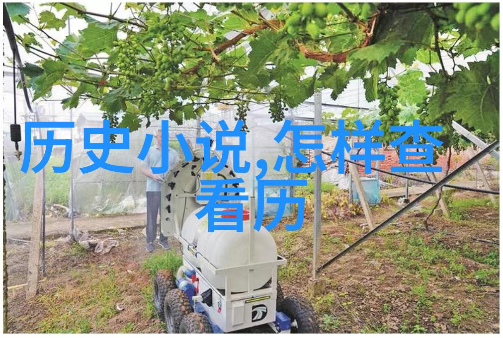 人工智能问答系统革新知识获取体验的未来方向