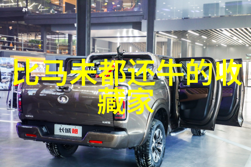 品种独特性图鉴通过图片识别猫咪的外观差异