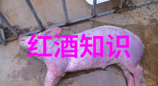 走进真实场景利用模拟实验提升中学生对战争年代生活理解