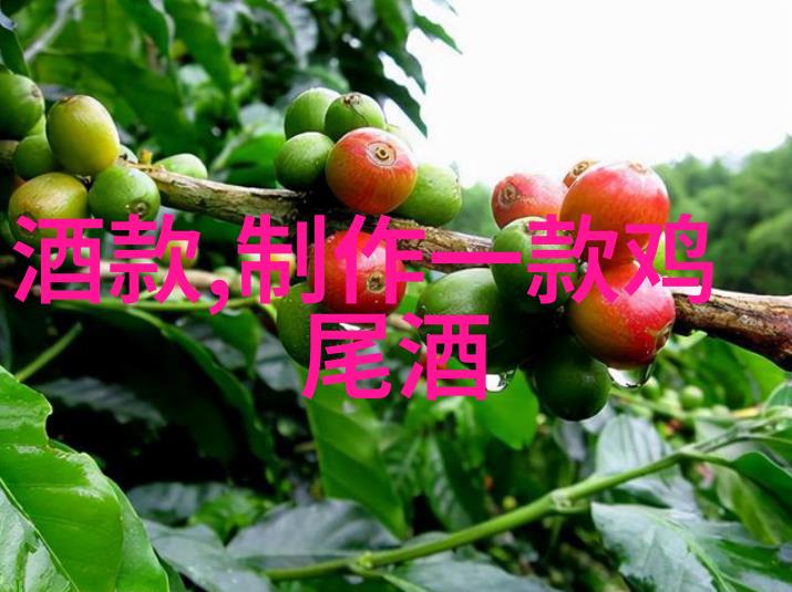 南美安第斯山脉的徒步旅行路线是怎样的