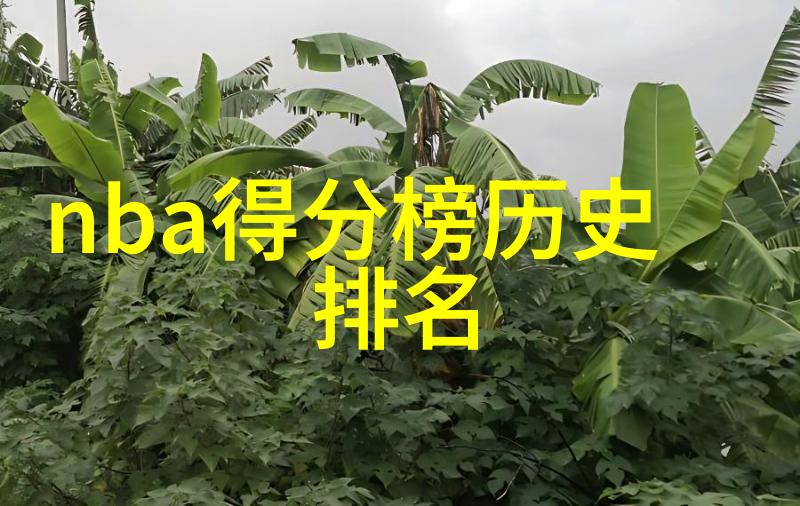针对不同土壤条件选择何为理想探讨各类土壤下最适宜的玉米产品