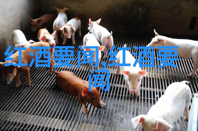 庄园我在这里找到了宁静的港湾