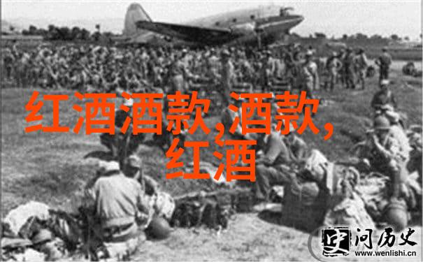 探索人生之谜深度思考中的那些难以言说的问题