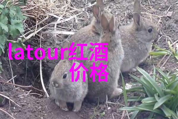 简易全身人物画你也能成为艺术家简单画法让人形生动