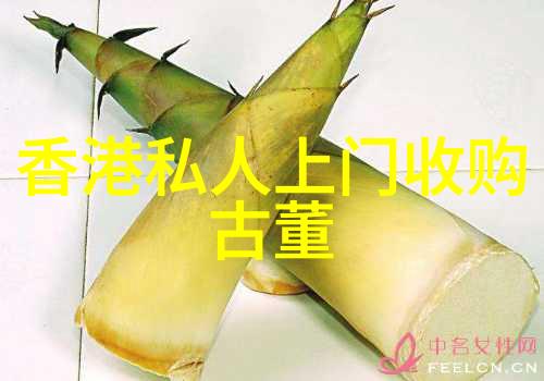 主题我来告诉你些什么花样子的玫瑰吧