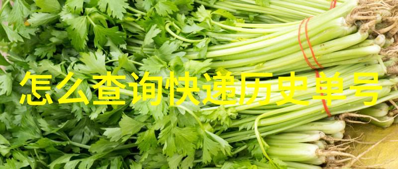 解密葡萄酒保鲜秘诀今日头条问答揭秘最佳储存温度与湿度