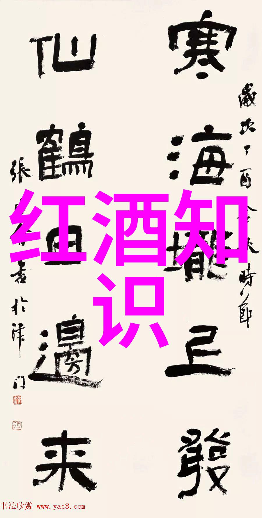 黑皮诺主产地文化探究如何在当地生活与酿酒艺术融合