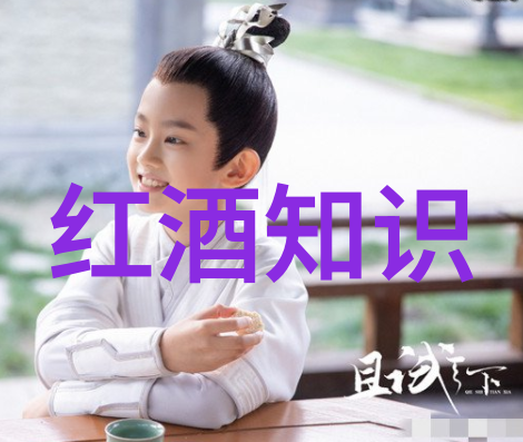 你如何看待中国的酒文化亲切告白一场醉心传统的探索