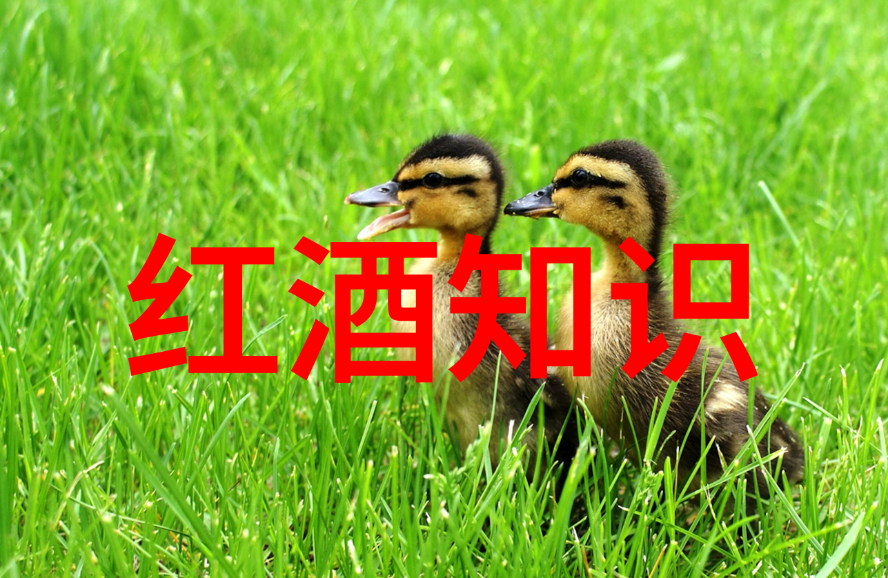 丁宝桢的历史足迹从清朝翰林到晚清政治家的辉煌历程