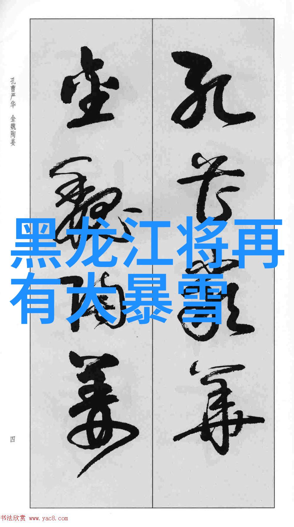 日本波斯猫东方风情与西方典雅相融合