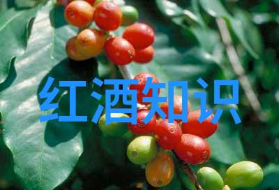 梦幻庄园斯丁堡酒庄岂不是有一款让人心动的天堂