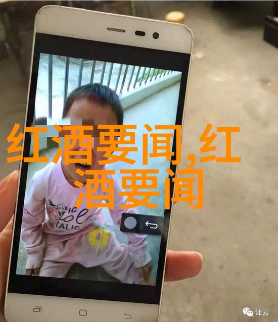 探索酒文化的深度醉心于历史与仪式的艺术