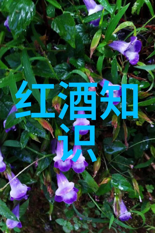 中国足球队世界杯战绩中国国家足球队在世界杯上的表现