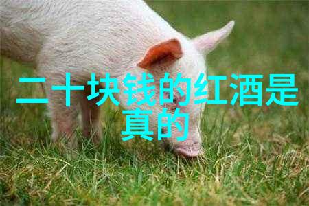 哲学探索-深度思辨揭开一些特别有深度的问题之谜