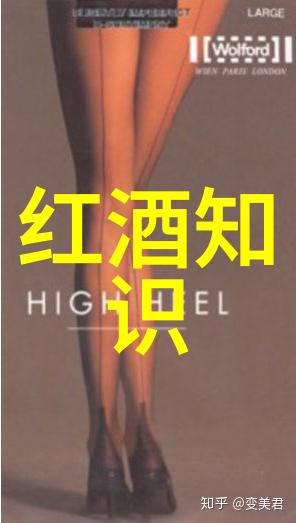 智海无垠探索免费答案的虚拟港湾