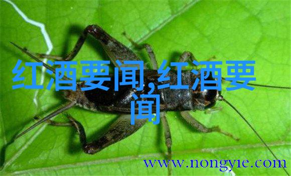 文物探秘华夏古董收藏鉴定协会揭秘中国古代文化遗产