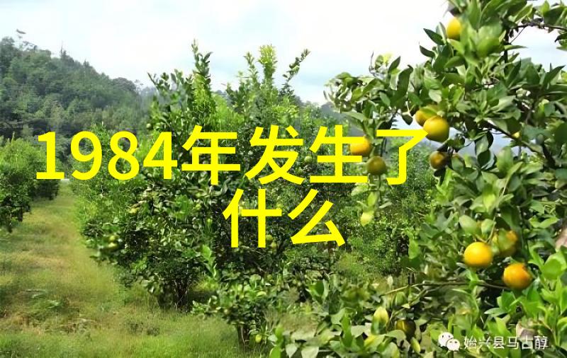 猫咪品种大图库喵喵笑话中的神秘生物