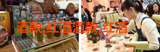 历史的秘密花园中学课堂背后的未解谜团