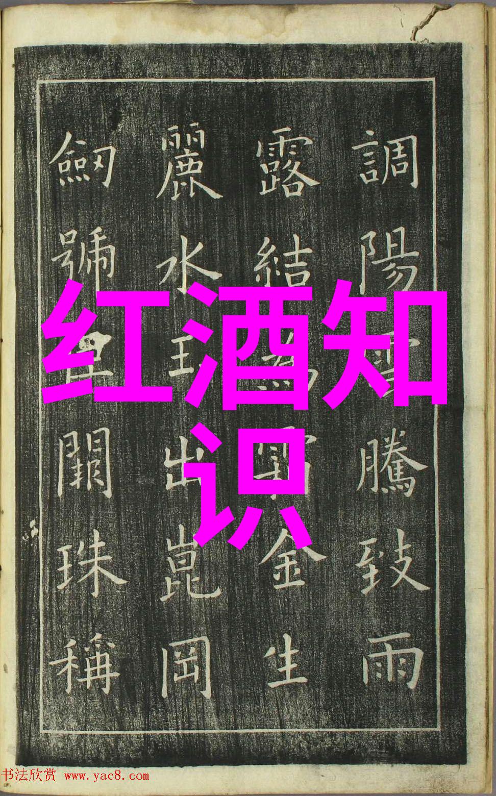 伯爵庄园的秘密酒窖思坦伦的神秘醇香