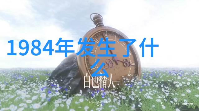 丁香花之梦探秘免费高清视频动漫完整版