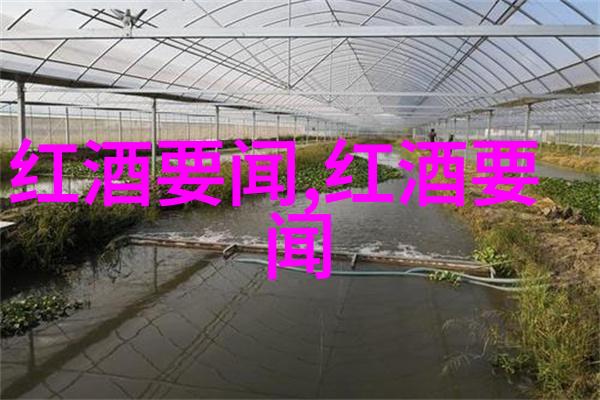 从百度问答到金钱赚取逆袭的奇迹
