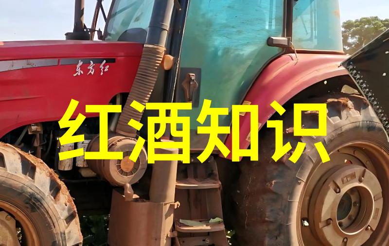 百度知道付费咨询指南解密高效获取专业答案的秘诀