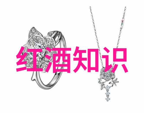从香槟到布鲁日法国红酒中最值得寻找的产区有哪些