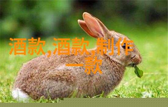 探索法国红酒的巅峰哪个产区最值得一试