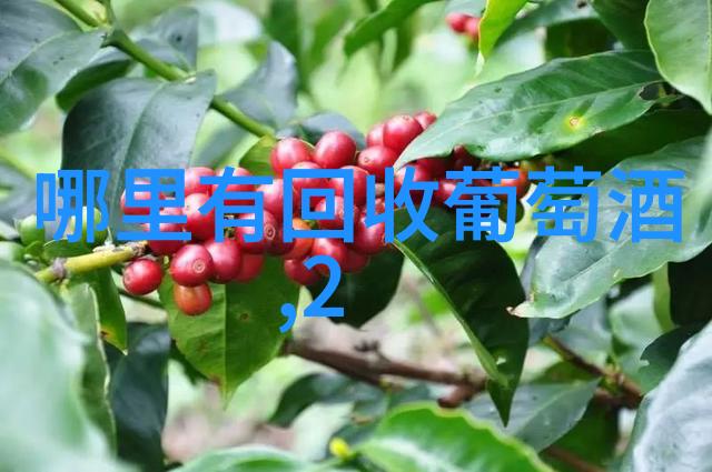 兰州庄园牧场新引进的高品质牧羊犬种有哪些